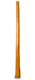 Gloss Finish Flared Didgeridoo (TW1203)